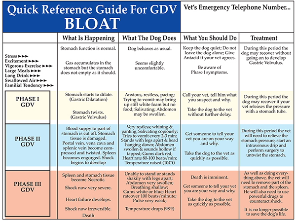 bloat chart