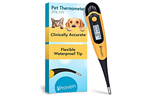 thermometer
